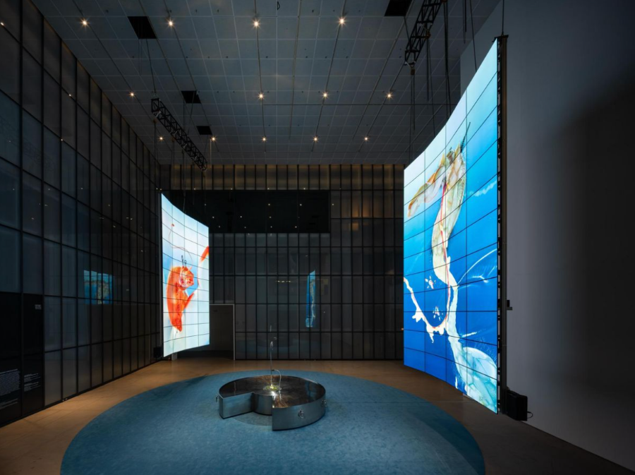 디지털 생명체도 생명일까?