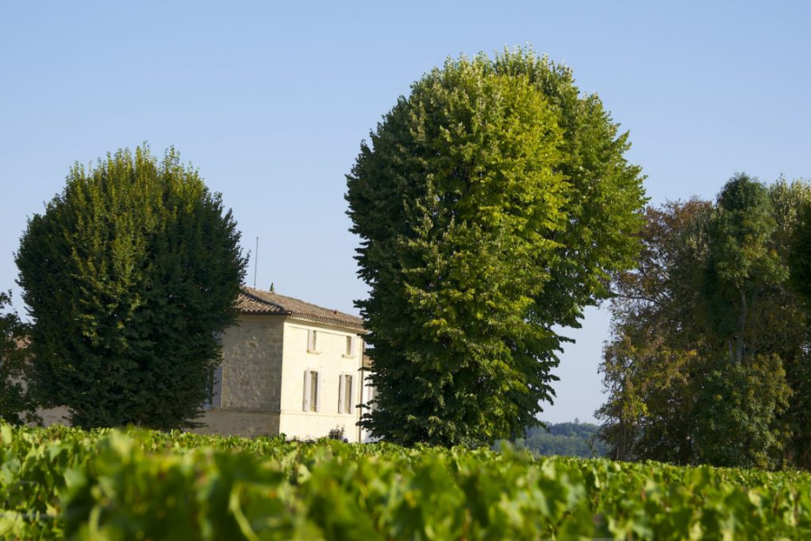 열정적인 와인 메이커, 장 뤽 뛰느방 그리고 샤또 발란드로